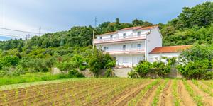 Appartement - Palit - île de Rab