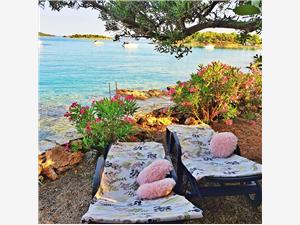 Apartment North Dalmatian islands,Book  Kosirina From 324 €
