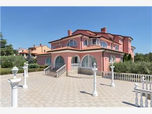 Apartments and Rooms Villa Chiara Krnica (Pula), Size 16.00 m2, Accommodation with pool