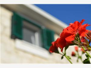 Huis Little Flower Okrug Gornji (Ciovo), Stenen huize, Kwadratuur 30,00 m2, Lucht afstand naar het centrum 200 m